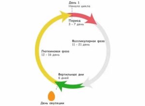 Как влияет резкая смена климата на месячные