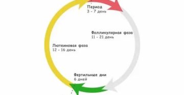 Как влияет резкая смена климата на месячные