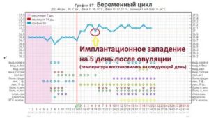 Как отличить овуляцию от имплантации