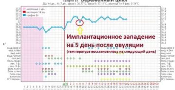 Как отличить овуляцию от имплантации