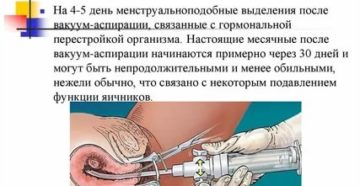 Когда после вакуумной чистки матки начинаются месячные