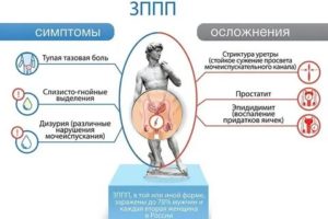Можно ли заразиться зппп во время петтинга