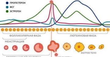 Что делать если после прогестерона не пришли месячные