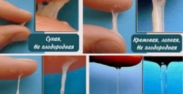 Можно ли забеременеть от смазки выделений слизи у мужчин во время месячных