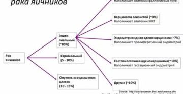 Классификация рака яичников гистологическая