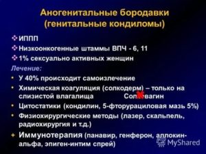 Что такое аногенитальный контакт