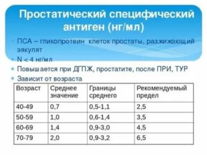 Соотношение пса и размеров простаты