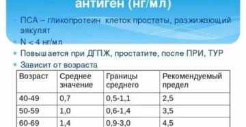 Соотношение пса и размеров простаты