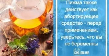 Можно ли пить пижму если нет месячных