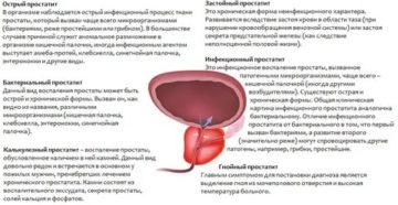 При воспалении предстательной железы может подниматься температура