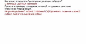 Преодоление бесплодия у отдаленных гибридов возможно с помощью