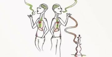 Почему нельзя курить кальян во время месячных Почему нельзя курить кальян во время месячных