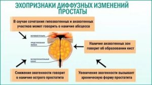 Умеренно-диффузные изменения предстательной железы что это означает