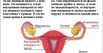 Почему у девушки не идут месячные 5 дней Почему у девушки не идут месячные 5 дней