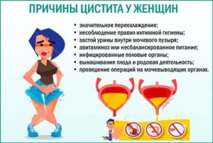 Почему не проходит острый цистит