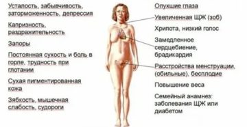 Почему болит щитовидка перед месячными Почему болит щитовидка перед месячными