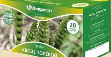 Сколько дней пить хвощ при цистите