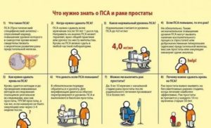 Как часто сдавать кровь на пса при раке простаты