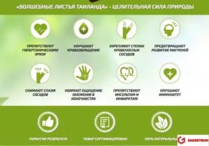 Волшебные листья таиланда от простатита
