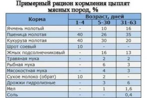 Чем кормить месячных бройлеров в домашних условиях для быстрого роста