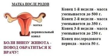 Что делать если сокращается матка при месячных Что делать если сокращается матка при месячных