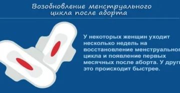 Сколько должны идти месячные после медикаментозного прерывания беременности Сколько должны идти месячные после медикаментозного прерывания беременности