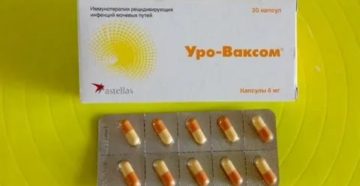 Уро ваксом при хроническом простатите