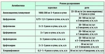 Сколько дней колоть цефтриаксон при цистите коту