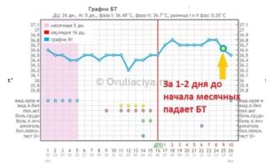 Почему базальная температура упала а месячных нет