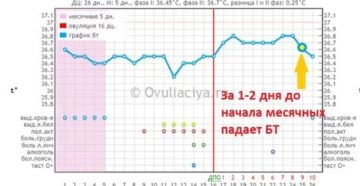 Почему базальная температура упала а месячных нет Почему базальная температура упала а месячных нет