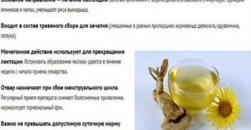 Какими травами можно вызвать месячные при задержке в домашних условиях