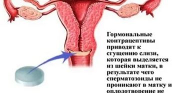 Почему после отмены кок нет месячных Почему после отмены кок нет месячных