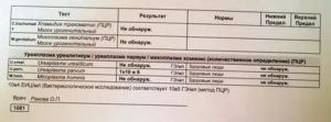 Можно ли заниматься сексом перед сдачей анализа на уреаплазмоз