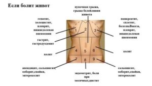 Почему болит левый бок внизу живота у девушки после месячных