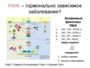 Фитоэстрогены при гормонозависимом раке молочной железы