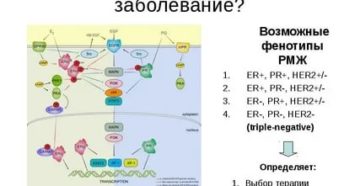 Фитоэстрогены при гормонозависимом раке молочной железы