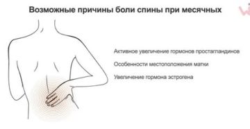 Может ли во время месячных болеть низ спины