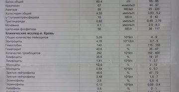 Можно ли определить вич по биохимическому анализу крови определить
