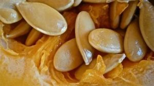 Семена дыни при простатите