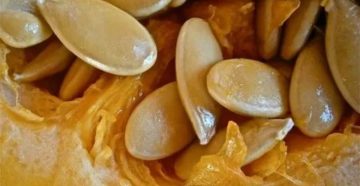 Семена дыни при простатите