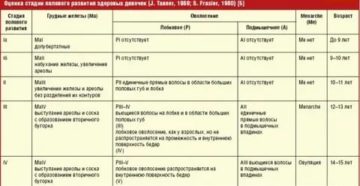 Что делать если у 15 летней девочки нет месячных