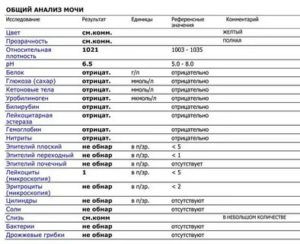 Могут ли при простатите в анализах мочи быть эритроциты