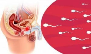Может ли при простатите появится кровь в сперме