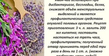 Можно ли пить иван чай при месячных
