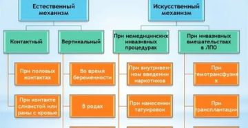 Что такое вич инфекция определение источники механизм и пути передачи