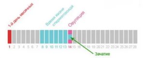 Могут ли пойти месячные через несколько дней после зачатия