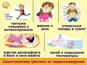 Можно ли заболеть циститом при переохлаждении