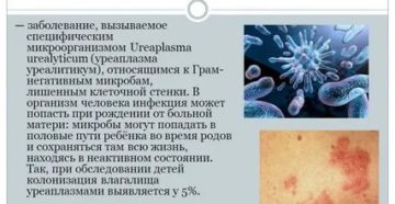 Может ли заразиться мужчина уреаплазмозом от женщины