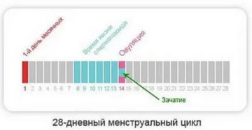 Могут ли начаться месячные через три дня после зачатия