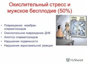 Оксидативный стресс и мужское бесплодие